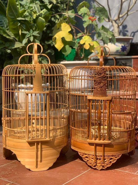 Những phụ kiện chim cảnh cần có khi mới bắt đầu nuôi