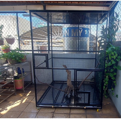 Cách làm lồng chim avi đơn giản, đẹp và bền lâu